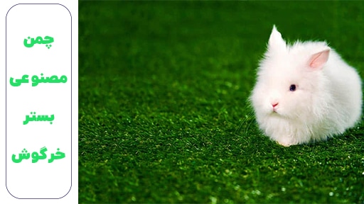 چمن مصنوعی بستر خرگوش
