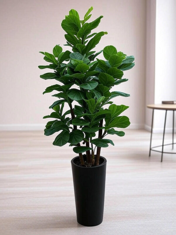 خرید درخت مصنوعی فیکوس 180 سانتی